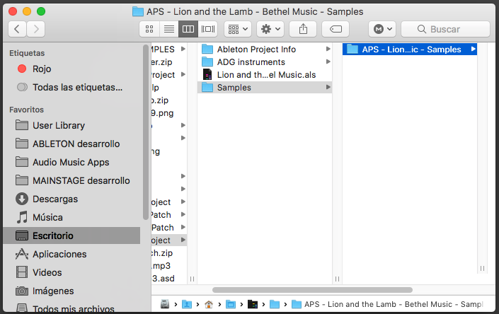 APS – Instrucciones de uso De Patches específicos – AUDIOFENIX